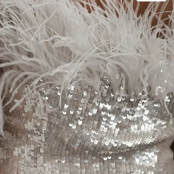 Audrey Adele Adelaide Feather & Sequin Mini Dress - Picture 6 of 11